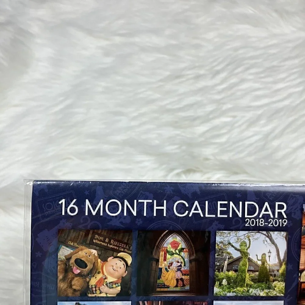 NEW Disney Parks 2018-2019 Wall Calendar 16 Months Walt Disney World Colorful
